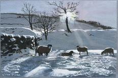 Winter Afternoon at Dentdale, 1991-John Cooke-Framed Giclee Print