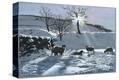 Stretched Canvas Print