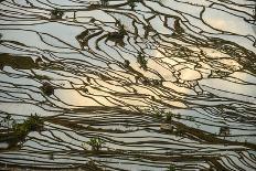 Infinite Rice Fields at Laohuzui Aka Tiger Mouth in Yuanyang, China-John Crux-Framed Photographic Print