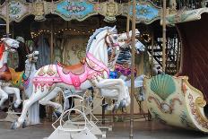 Painted Carousel Horses, Paris, France-John Cumbow-Framed Photographic Print