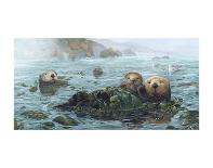 Carmel Coast Otters-John Dawson-Stretched Canvas
