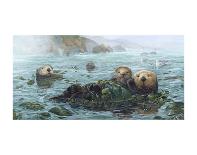 Carmel Coast Otters-John Dawson-Art Print