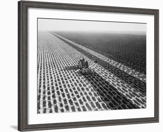 John Deere Model "G" Tractor in Field-Philip Gendreau-Framed Photographic Print