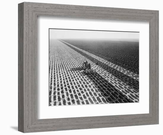 John Deere Model "G" Tractor in Field-Philip Gendreau-Framed Photographic Print