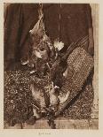 Dead Game, 1854-John Dillwyn Llewelyn-Giclee Print