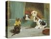 Stretched Canvas Print