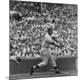 Premium Photographic Print