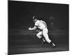 Premium Photographic Print