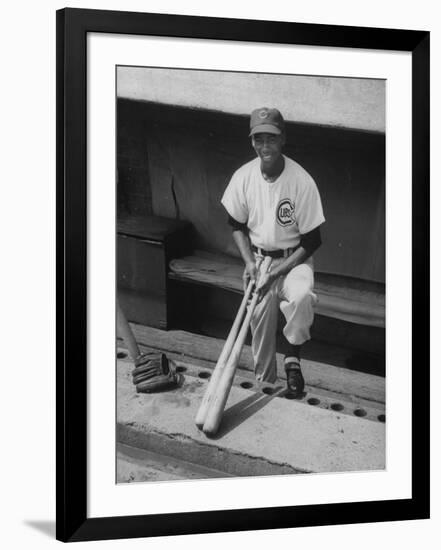 Premium Photographic Print, , large