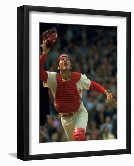 Premium Photographic Print, , large