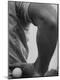 Premium Photographic Print