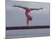Premium Photographic Print