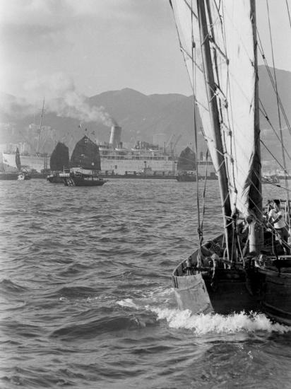 Photographic Print, , large