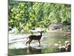 Photographic Print