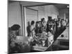 Photographic Print