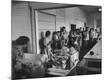 Photographic Print