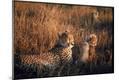 Photographic Print