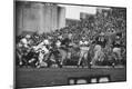 Photographic Print