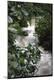 Premium Photographic Print