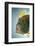 John Dory (Zeus Faber) Portrait, Babbacombe Bay, Devon, UK-Alex Mustard-Framed Photographic Print