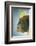 John Dory (Zeus Faber) Portrait, Babbacombe Bay, Devon, UK-Alex Mustard-Framed Photographic Print