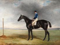 The Cur Chestnut Racehorse with Jockey Up on Newmarket Heath-John E. Ferneley-Giclee Print