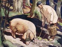 A Pig Searching for Truffles-John Edwin Noble-Giclee Print