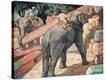 Stretched Canvas Print