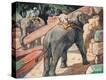 Stretched Canvas Print