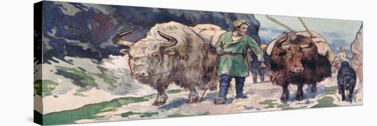 Stretched Canvas Print, , large