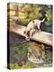 Stretched Canvas Print