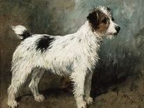 A Portrait of Nettle, a Terrier-John Emms-Giclee Print
