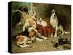 Stretched Canvas Print