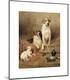 Premium Giclee Print