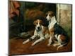 Premium Giclee Print