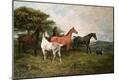 Giclee Print