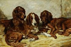 Otter Hounds by a Bridge - Tired Out, 1881-John Emms-Giclee Print