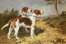 Portrait of a Terrier: Darkie, 1903-John Emms-Giclee Print