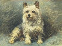 A Portrait of Nettle, a Terrier-John Emms-Framed Giclee Print