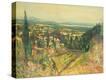 Stretched Canvas Print