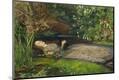Premium Giclee Print
