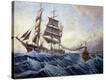 Stretched Canvas Print