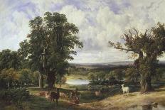 Landscape and Cattle-John F. Tennant-Giclee Print