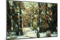Giclee Print