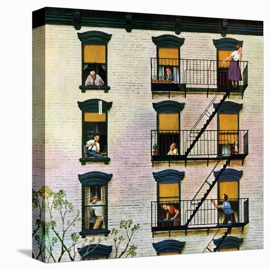 Stretched Canvas Print, , large