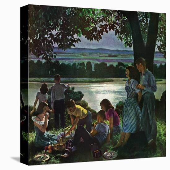 Stretched Canvas Print, , large
