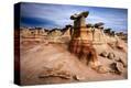Stretched Canvas Print