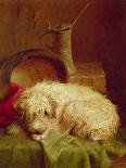 A Terrier-John Fitz Marshall-Giclee Print