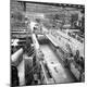 Premium Photographic Print