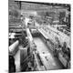 Premium Photographic Print